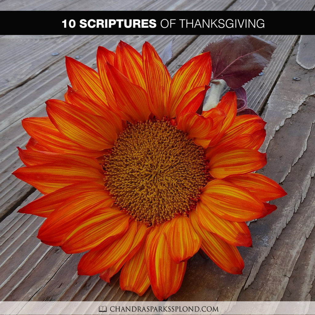 scriptures-of-thanksgiving