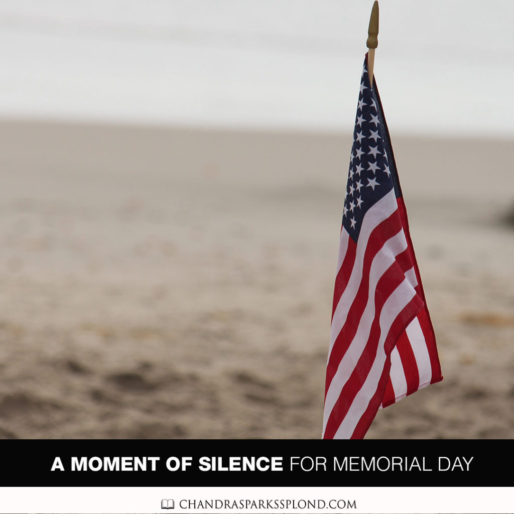 Please Join Me in Having a Moment of Silence for Memorial Day