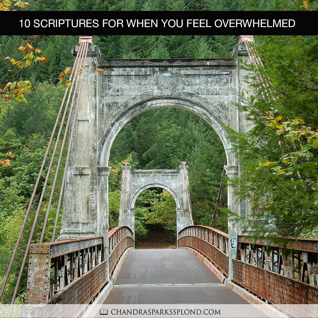 10 Scriptures for When You Feel Overwhelmed