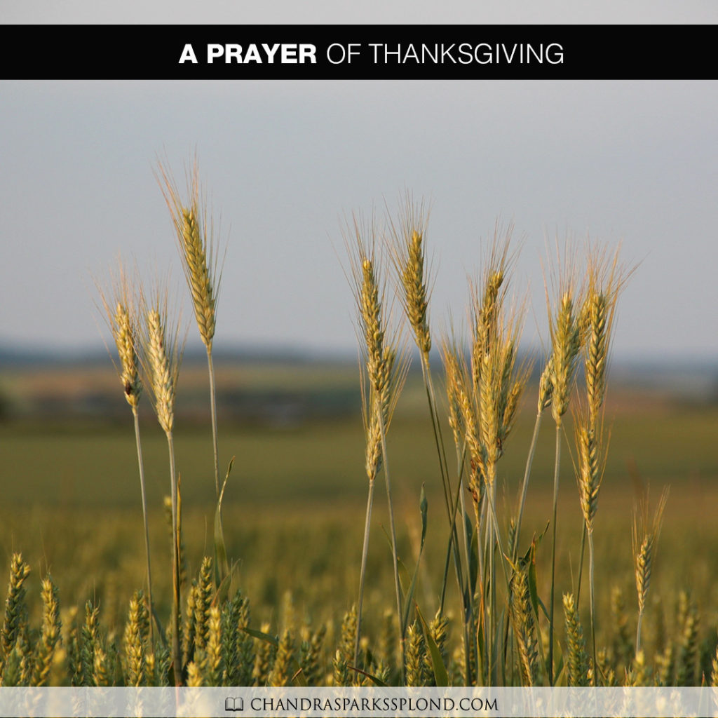 a-prayer-of-thanksgiving