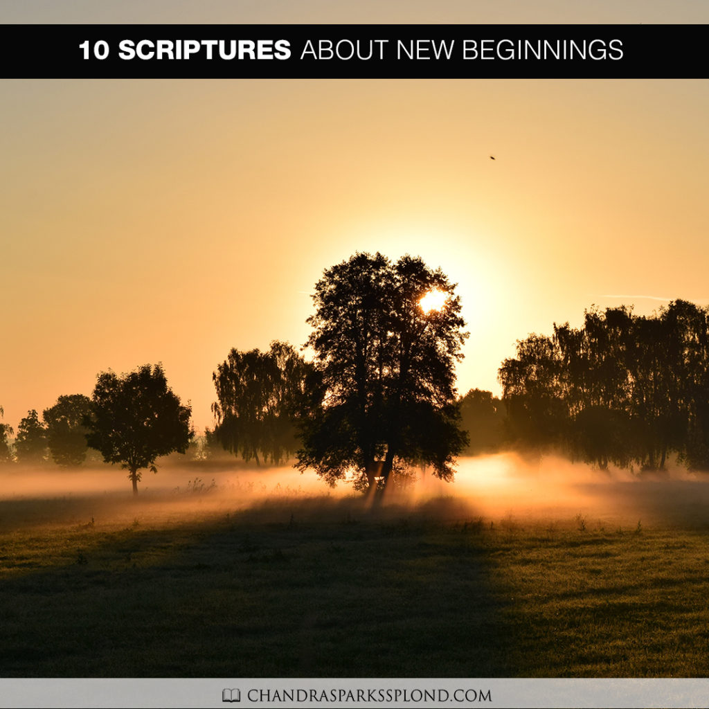 10-scriptures-about-new-beginnings